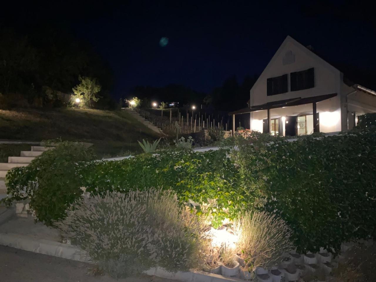 Borbora Borhaz Villa Vászoly Zewnętrze zdjęcie