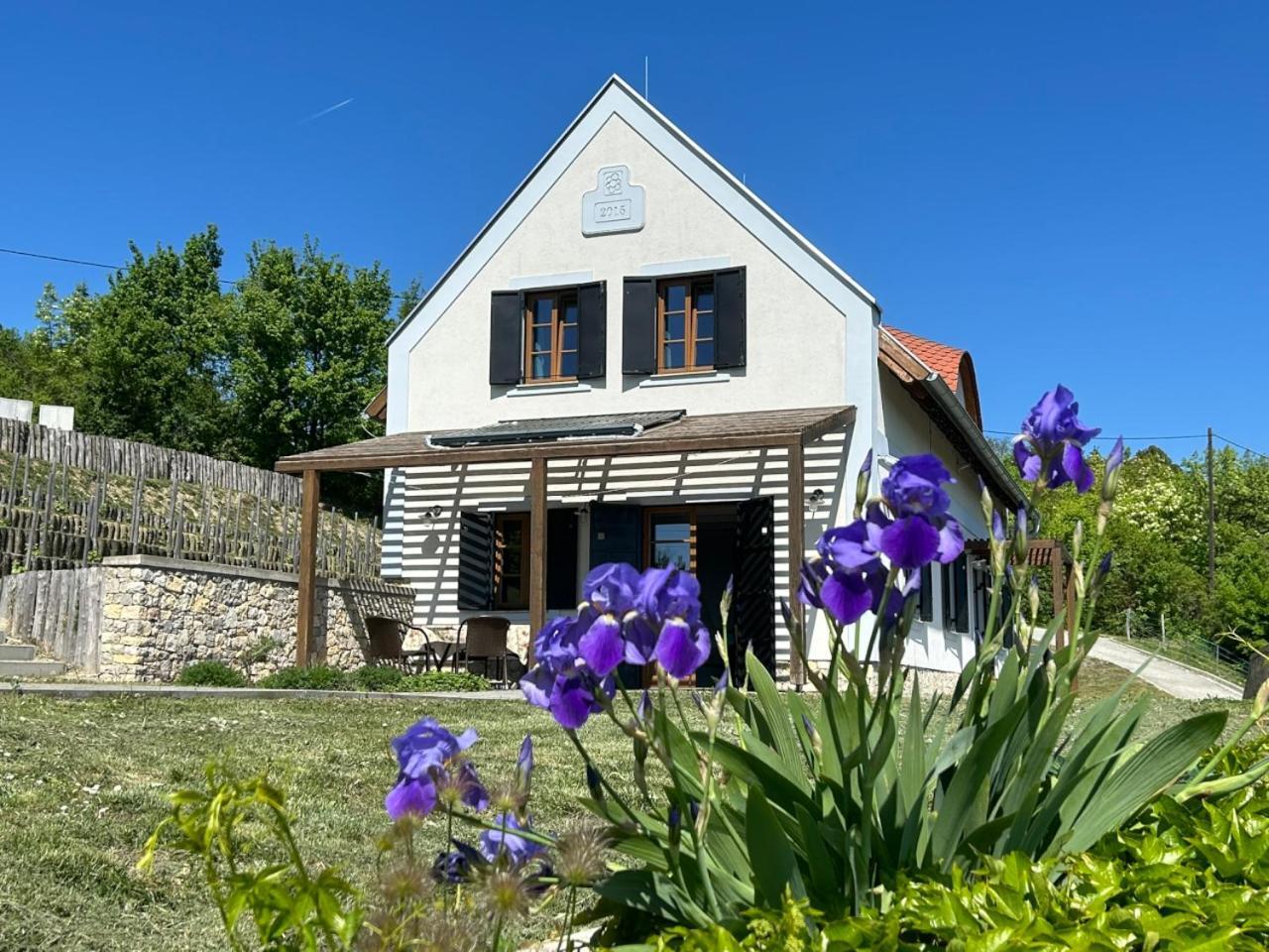 Borbora Borhaz Villa Vászoly Zewnętrze zdjęcie